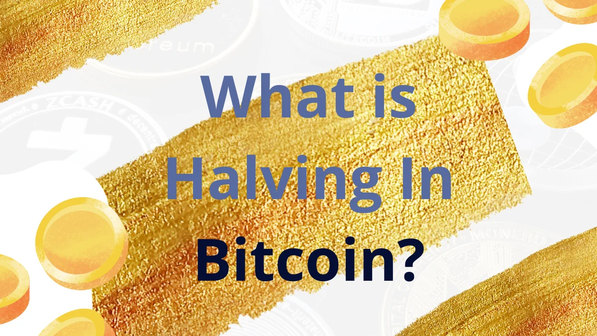 What is Halving In Bitcoin?