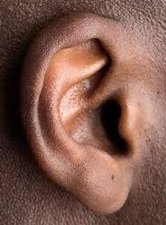 The Ear