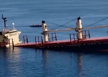 Red Sea Crisis Deepens: Houthis Sink Cargo Ship, Kill at Least 3, Kidnap Crew.