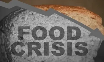 North‑East Governors Act to Avert Food Crisis Amid Looming Flood Threats