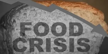 North‑East Governors Act to Avert Food Crisis Amid Looming Flood Threats