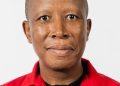 Malema Condemns Xenophobia, Calls for Stronger Nigeria–South Africa Economic Collaboration