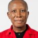 Malema Condemns Xenophobia, Calls for Stronger Nigeria–South Africa Economic Collaboration