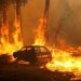 Wildfires Devastate Spain and Portugal as Death Toll Rises to Six