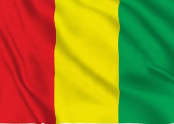 Guinea sets December 28 date for presidential election after new constitution upheld