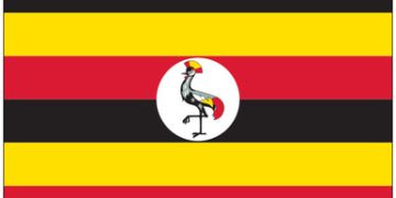 Uganda 2026: Museveni, 81, to face Bobi Wine, 43, in generational showdown