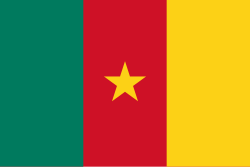 Cameroon votes in high-stakes election that could extend Biya’s 43-year rule