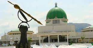 NASS Considers Creation of 55 New States and 278 Councils in Fresh Constitutional Review
