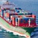 NPA Confirms Arrival of 13 Vessels Laden With Petroleum Products