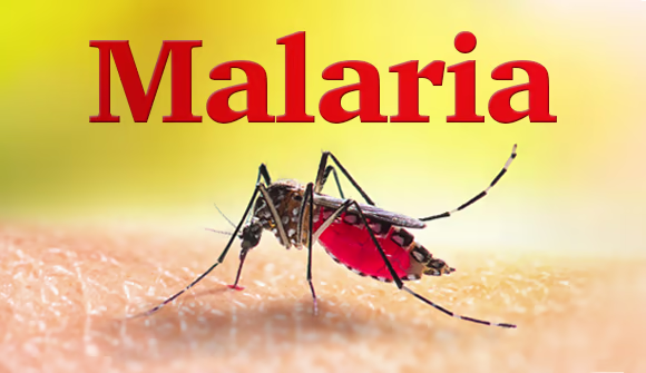 New Malaria Drug GanLum Shows 97% Cure Rate, Offers Hope Against Drug Resistance