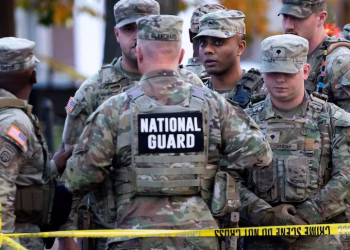 Two National Guard Soldiers Critically Wounded in DC Shooting; Afghan Asylum Recipient in Custody.