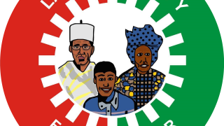 Court orders INEC to recognise Nenadi Usman-led committee as Labour Party leadership, sacks Abure