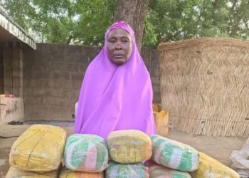 Troops arrest 65-year-old woman over alleged cannabis supply to Boko Haram in Borno