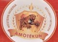 Ekiti Amotekun Arrests Five Suspected Fleeing Bandits in Okemesi-Ekiti