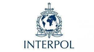 Interpol-led Operation Snags 651 Cybercrime Suspects Across Africa