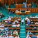 Reps Member Defends Removal of Indirect Primaries in 2026 Electoral Act