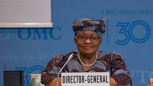 WTO chief says global order has changed permanently, urges reform