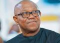 Peter Obi Denies Claim He Tried to Recruit Tinubu Adviser for 2023 Campaign