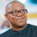 Peter Obi Denies Claim He Tried to Recruit Tinubu Adviser for 2023 Campaign