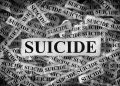 Advocacy Group Raises Alarm Over Suicide Crisis, Faults Harmful Online Content