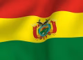 Bolivian Security Forces Move to Clear Roadblocks After 11 Days of Protests