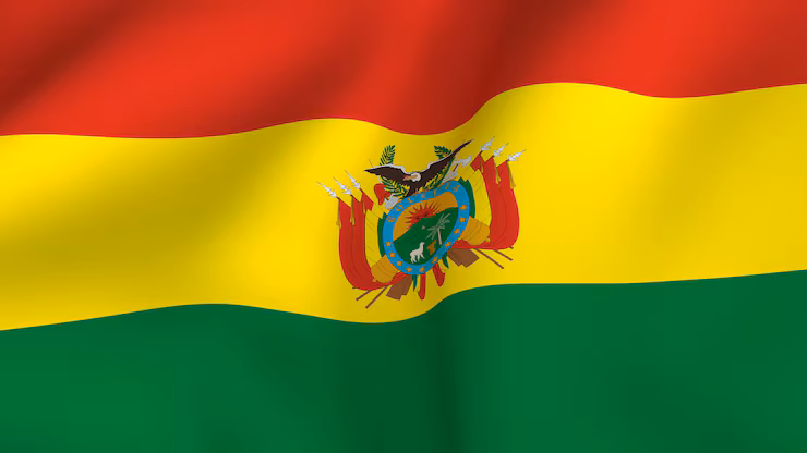 Bolivian Security Forces Move to Clear Roadblocks After 11 Days of Protests