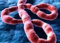 India-Africa Summit Postponed Over Rising Ebola Concerns
