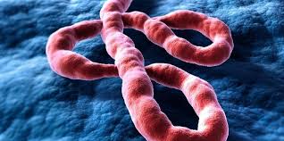India-Africa Summit Postponed Over Rising Ebola Concerns