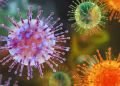 Tenerife Prepares for Arrival of Hantavirus-Hit Cruise Ship