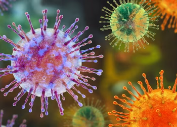 Tenerife Prepares for Arrival of Hantavirus-Hit Cruise Ship