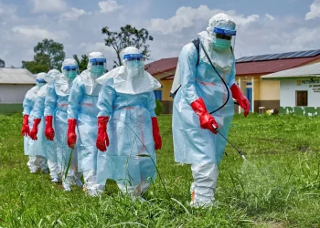 African Nations Secure Nearly $500 Million for Ebola Response Efforts