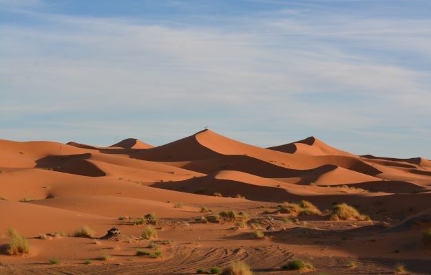 Libya, Algeria, Tunisia agree joint management of vast Sahara aquifer
